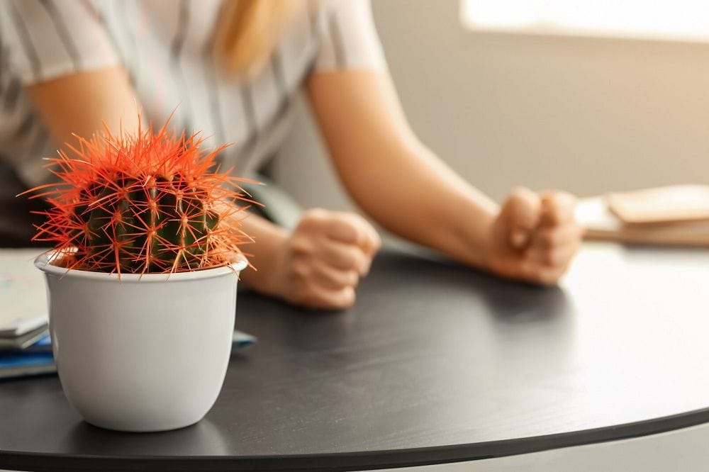 Constipation and Piles 3SaiAyush