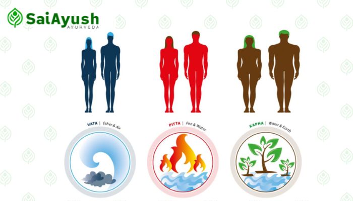 TridoshaVata Kapha and Pitta 1