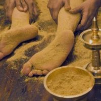 Weight Management & Metabolism Packages