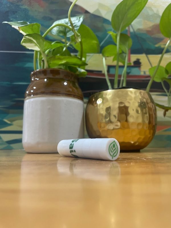 Lip Balm - Product - Sai Ayush Ayurveda
