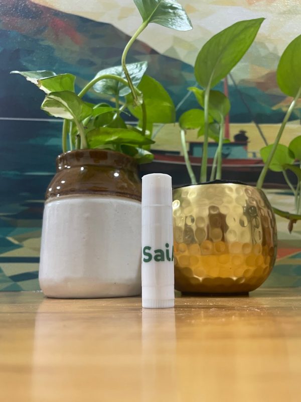 Anti Pigmentation Lip Balm - Product - Sai Ayush Ayurveda